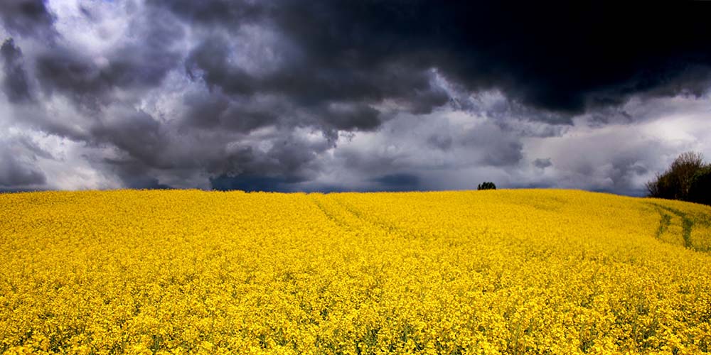 hail-damage-rising-2